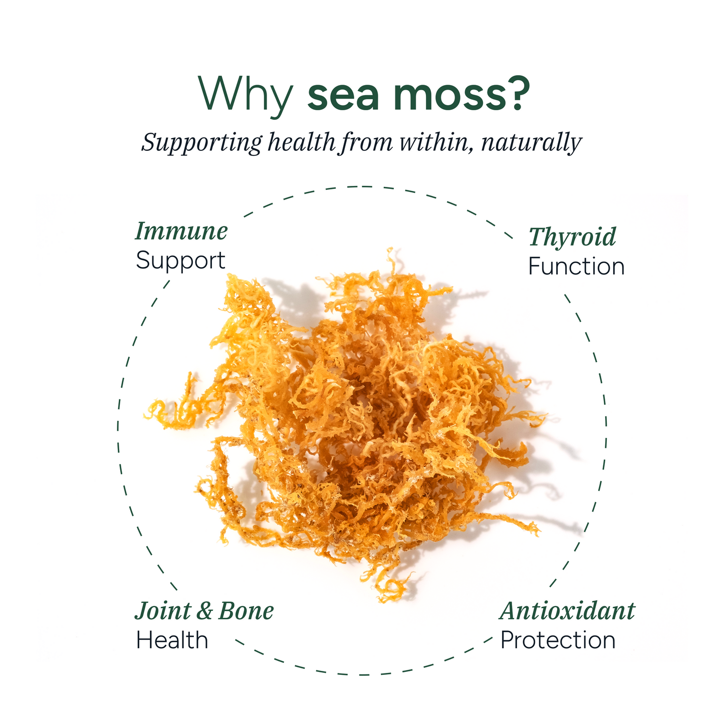 Sea Moss Gummies 60s