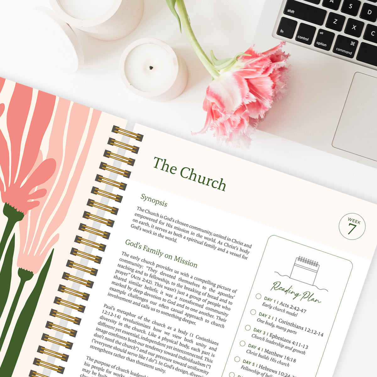 The Bible In A Year + Floral Paperback A4 Book Cover Bundle