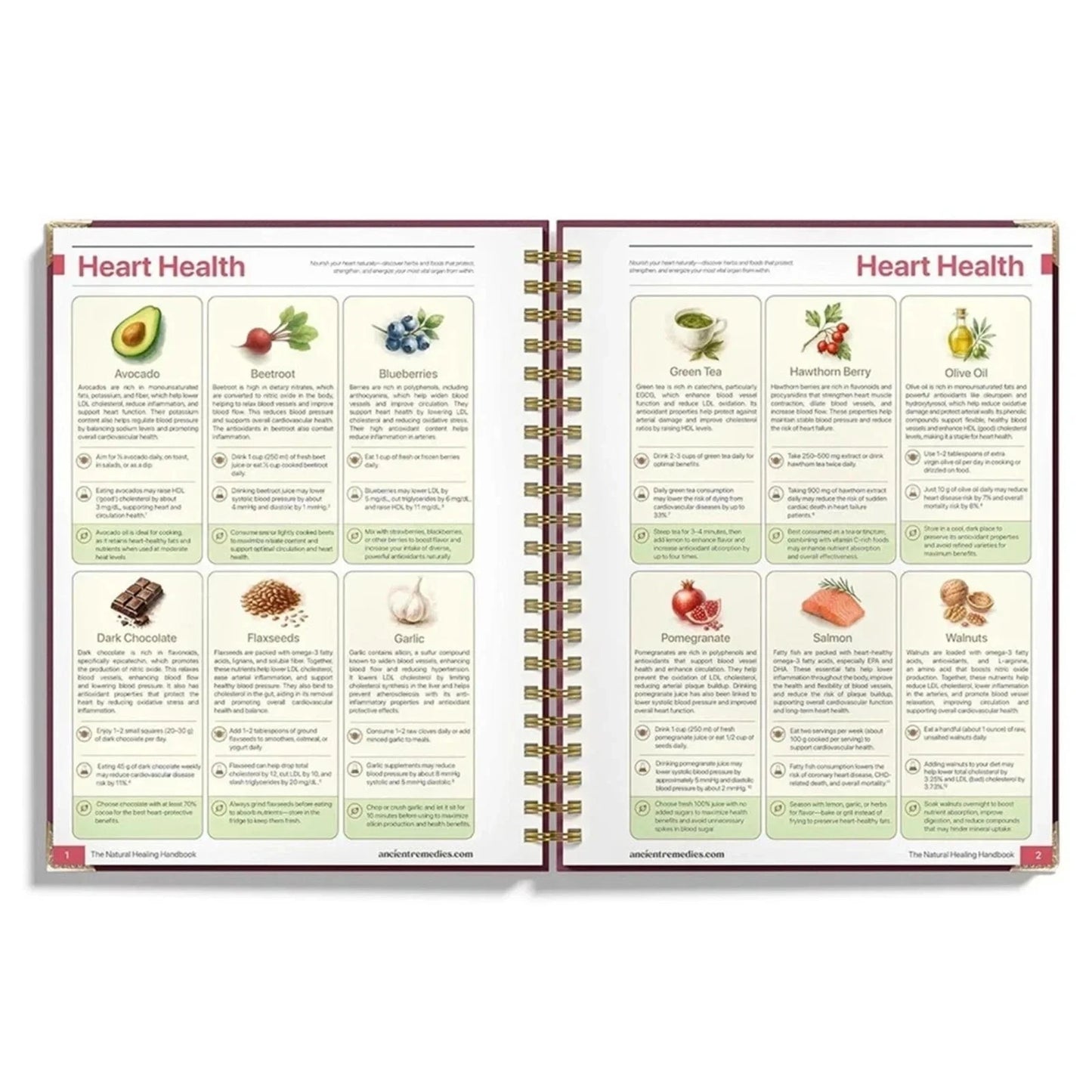 The Natural Healing Handbook, Spiral-Bound Guide For Herbal Remedies And Natural