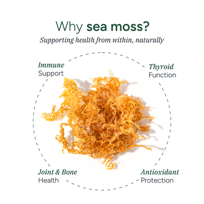 Sea Moss Gummies 60s
