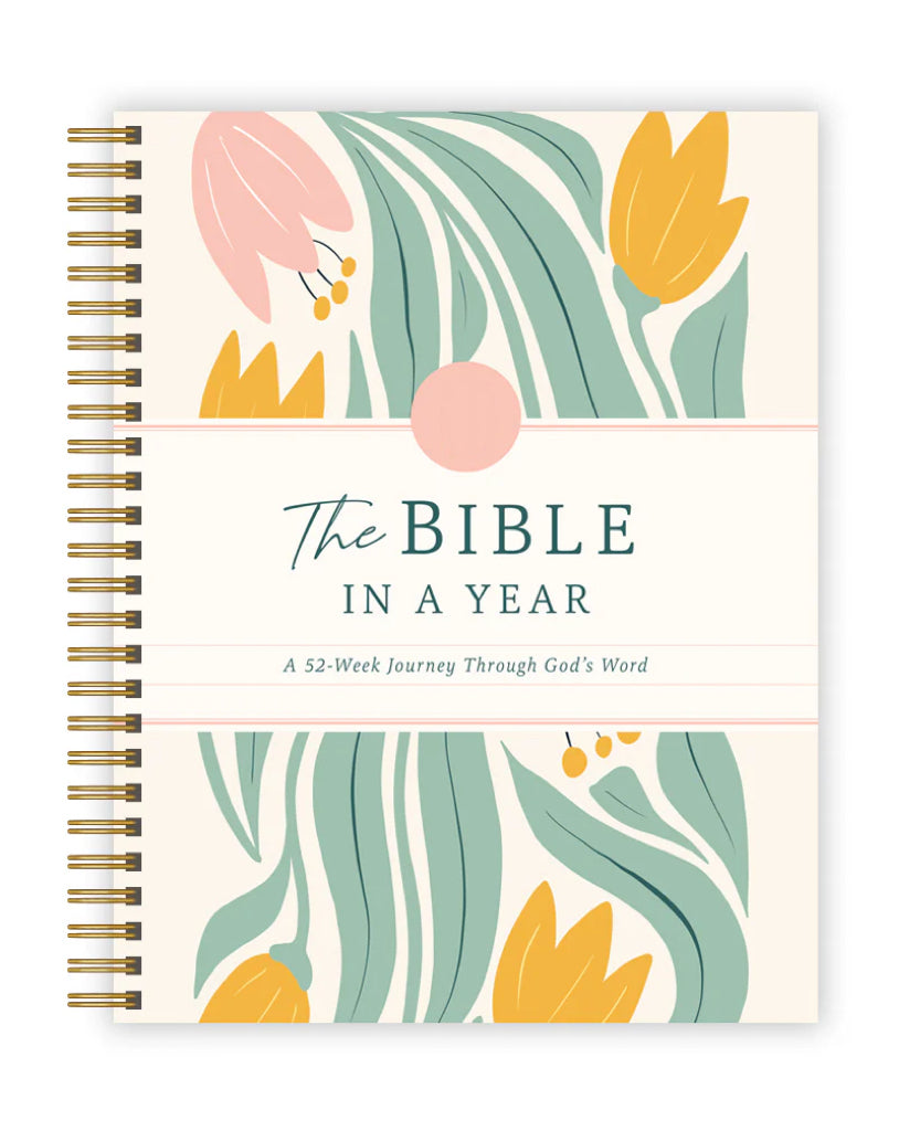 A 52-Week Journey Through God's Word,The Beginner's Bible Study Guide,ROSE BOOK OF BIBLE CHARTS