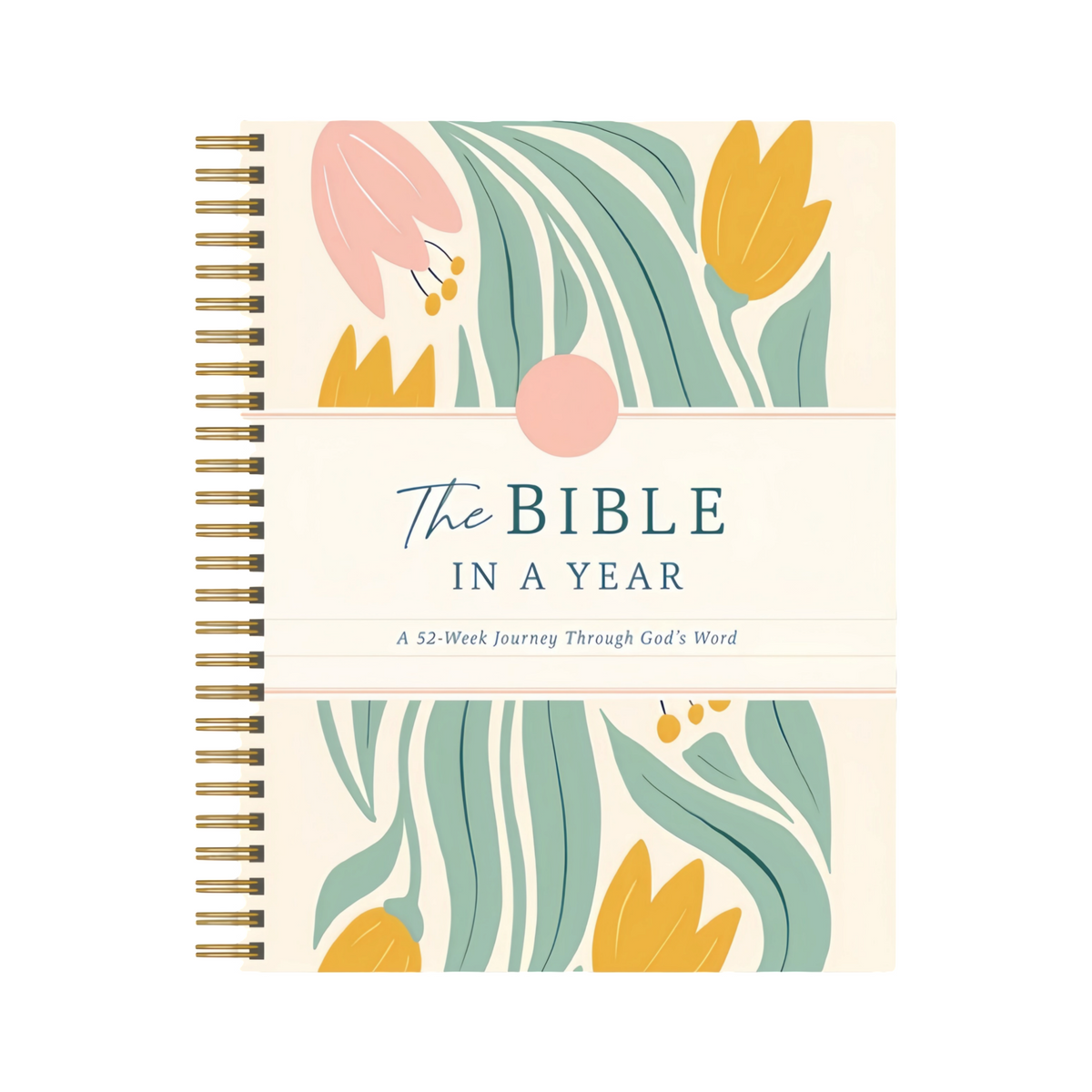 The Bible In A Year + Floral Paperback A4 Book Cover Bundle