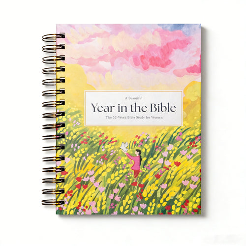 A Beautiful Year in the Bible: The 52-Week Bible Study for Women