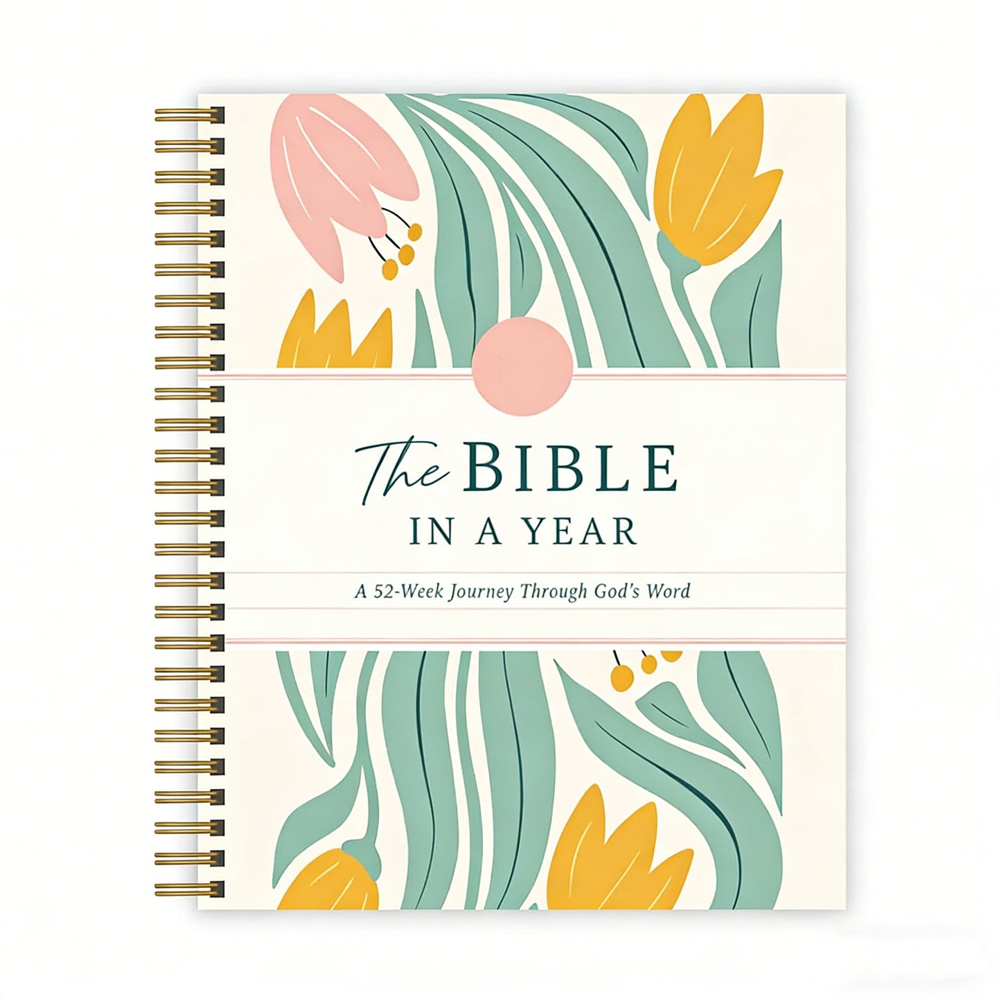 The Bible In A Year: A 52-Week Journey Through God's Word