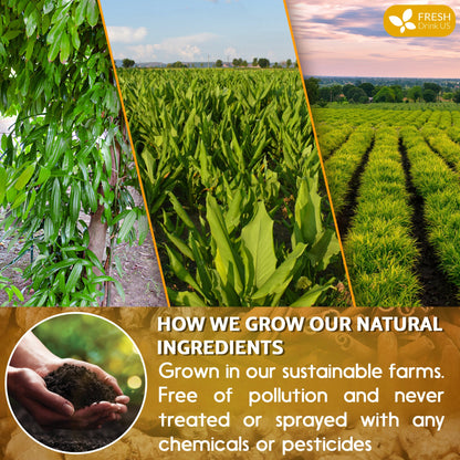 Turmeric Ginger Cinnamon Tea – 120 Bags | 100% Natural Herbal Blend for Wellness & Digestio.