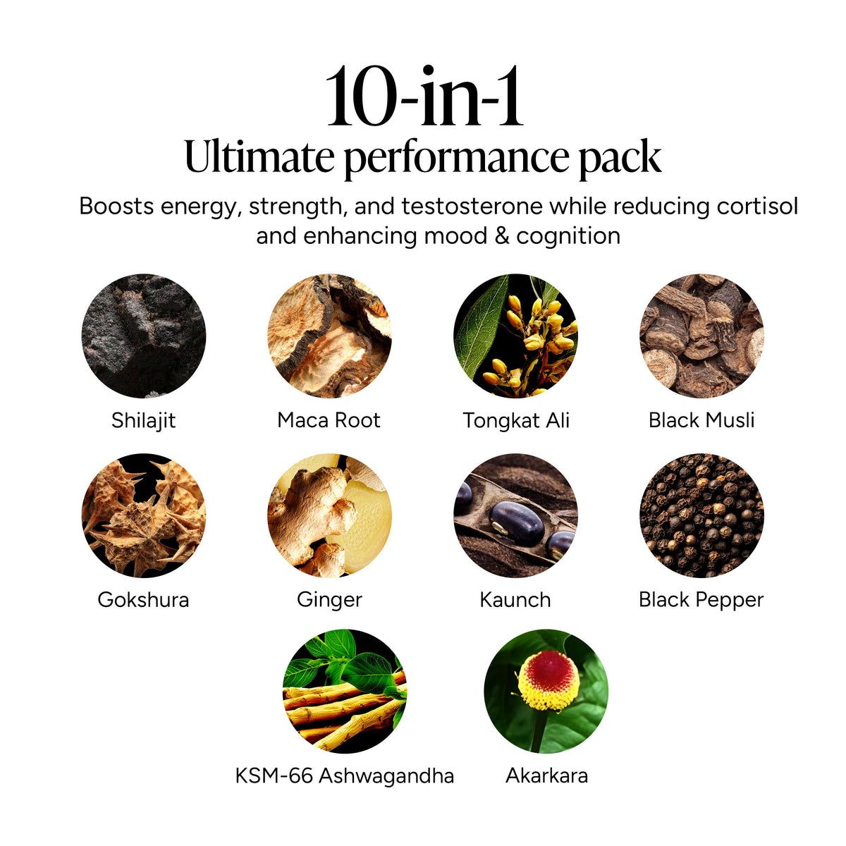 10-in-1 Shilajit Gummies(4000mg)|Alpha Gummies 60s