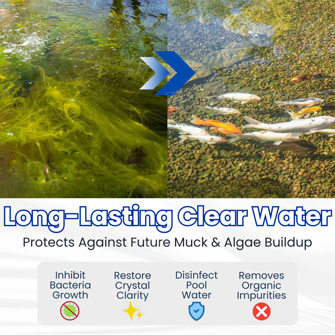 Green to Clean Overnight! | Crystal Clear in 24H | Aqua-Guardian Pro