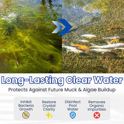 Green to Clean Overnight! | Crystal Clear in 24H | Aqua-Guardian Pro