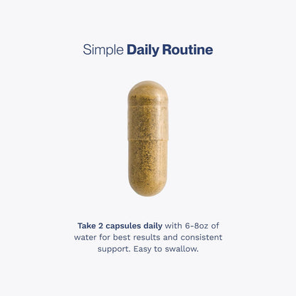 Men's Prostate Support Supplement – 60 Capsules