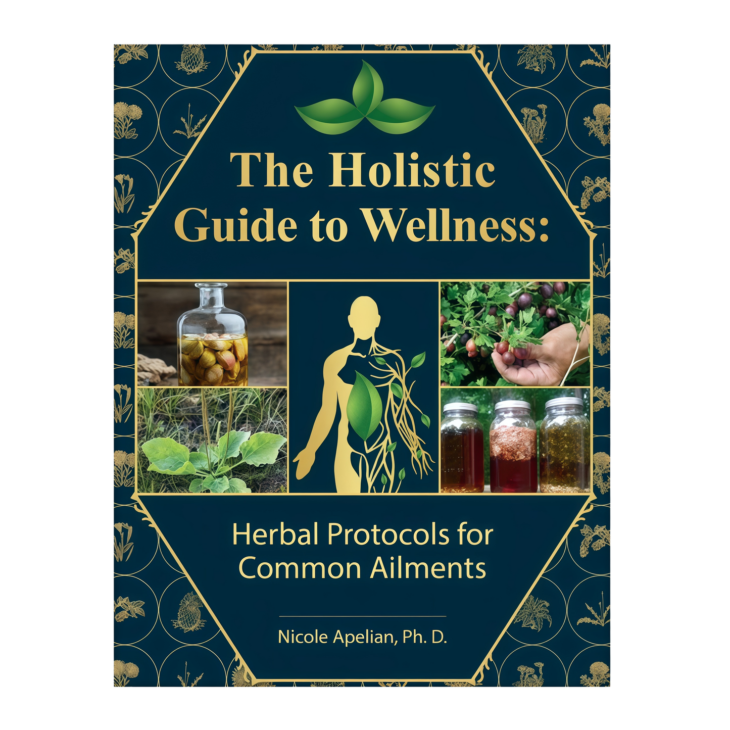 The Holistic Guide to Wellness: Herbal Protocols for Common Ailments | 45 Different Health Conditions | Soft Cover