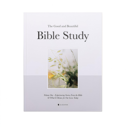 Bible Study Volume 1 | Guided Spiritual Devotional with Daily Prayers, Reflections & Contemplative Artwork | Perfect Christian Gift for Men