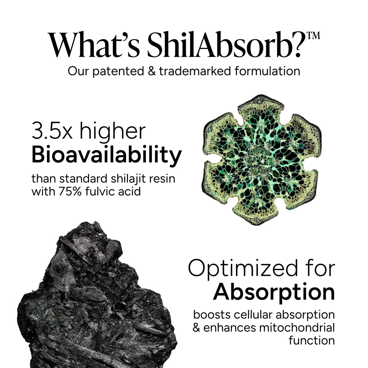 10-in-1 Shilajit Gummies(4000mg)|Alpha Gummies 60s