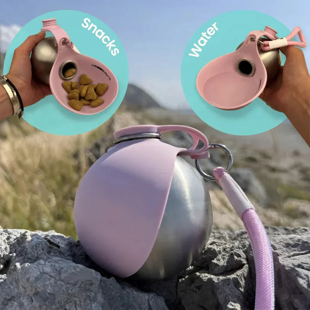 2-in-1 Dog Water Bottle & Bowl