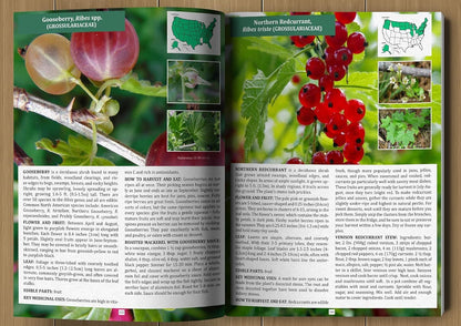 The Forager's Guide to Wild Foods | High-Quality Images & Maps for Plant Identification