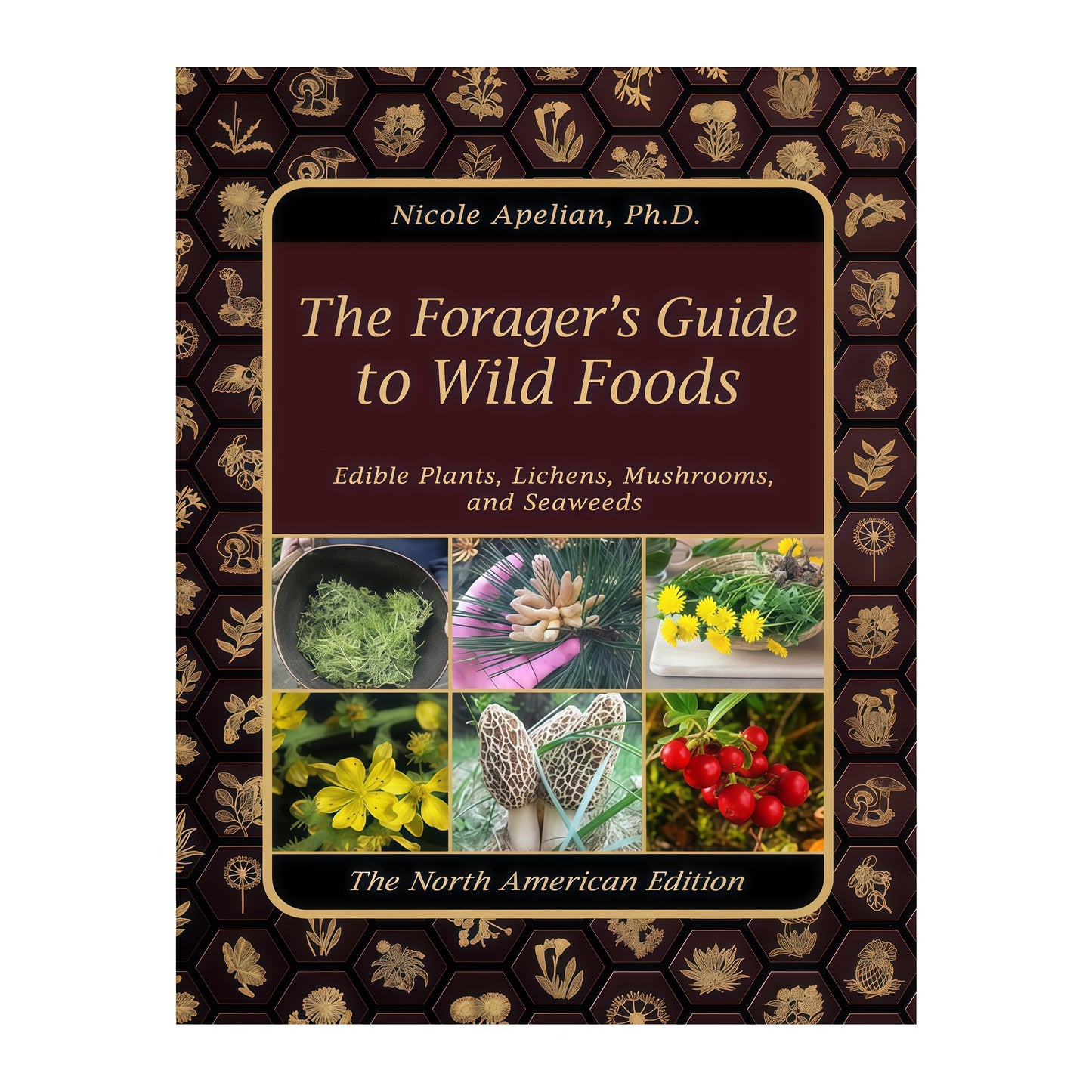 The Forager's Guide to Wild Foods | High-Quality Images & Maps for Plant Identification