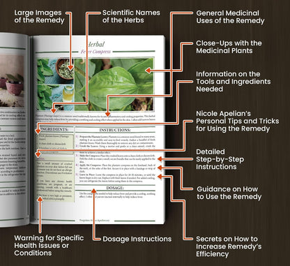 Forgotten Home Apothecary : 250 Powerful Remedies at Your Fingertips