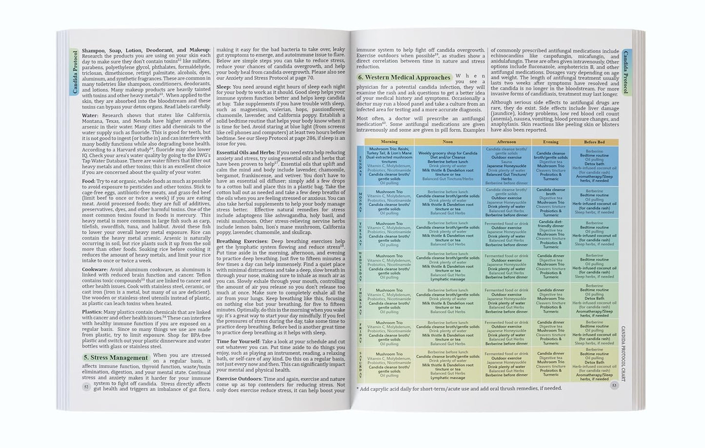 The Holistic Guide to Wellness: Herbal Protocols for Common Ailments | 45 Different Health Conditions | Soft Cover