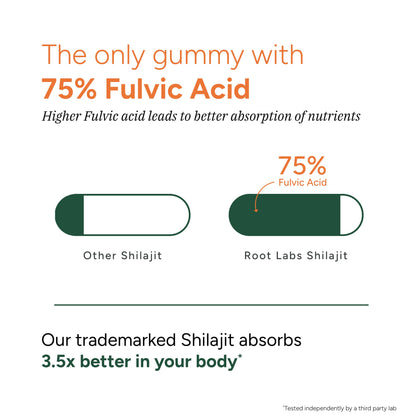 Shilajit Gummies 60s