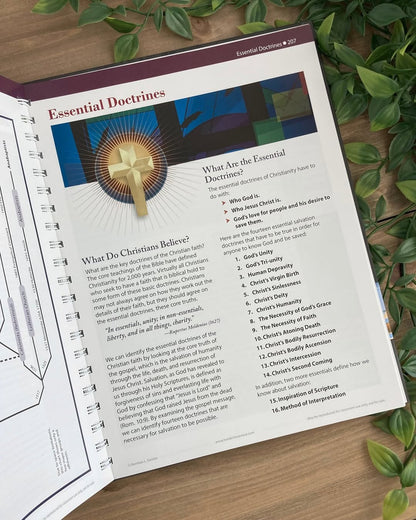 ROSE BOOK OF BIBLE CHARTS, MAPS, AND TIME LINES