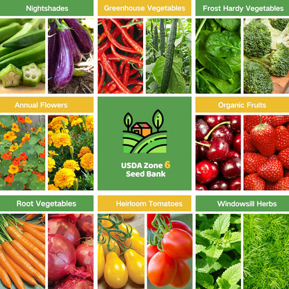 All-in-One Vegetable Seed Bank - 32 Seed Varieties