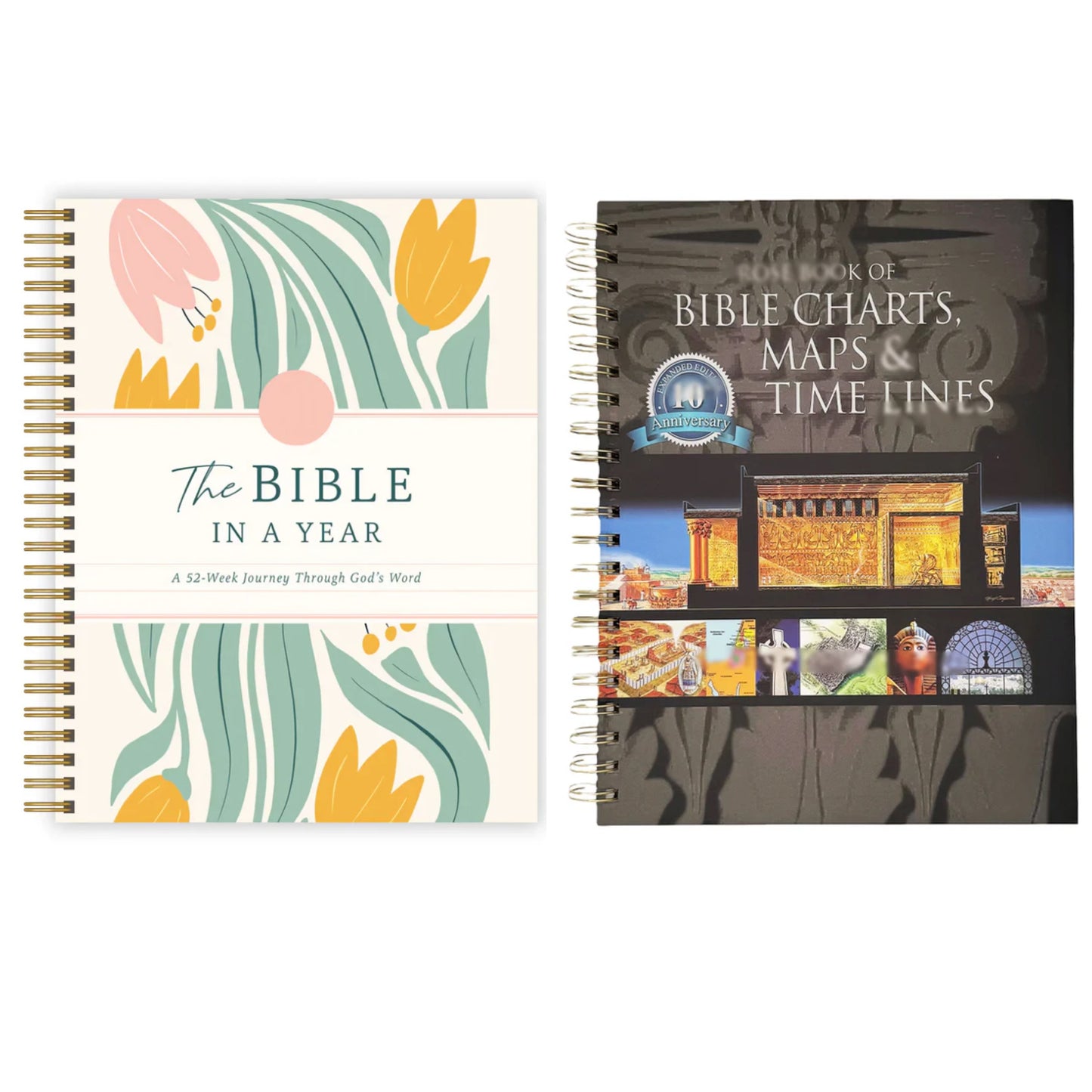 A 52-Week Journey Through God's Word,The Beginner's Bible Study Guide,ROSE BOOK OF BIBLE CHARTS