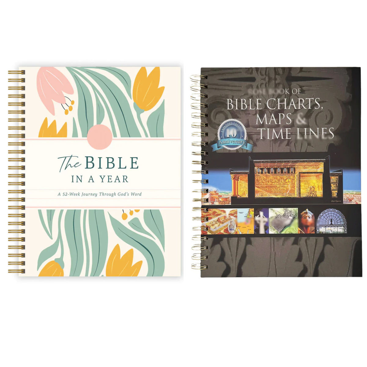 A 52-Week Journey Through God's Word,The Beginner's Bible Study Guide,ROSE BOOK OF BIBLE CHARTS