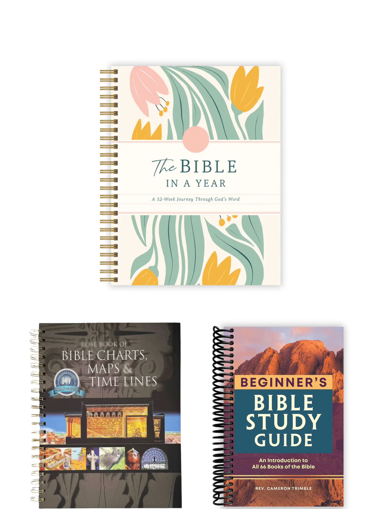A 52-Week Journey Through God's Word,The Beginner's Bible Study Guide,ROSE BOOK OF BIBLE CHARTS