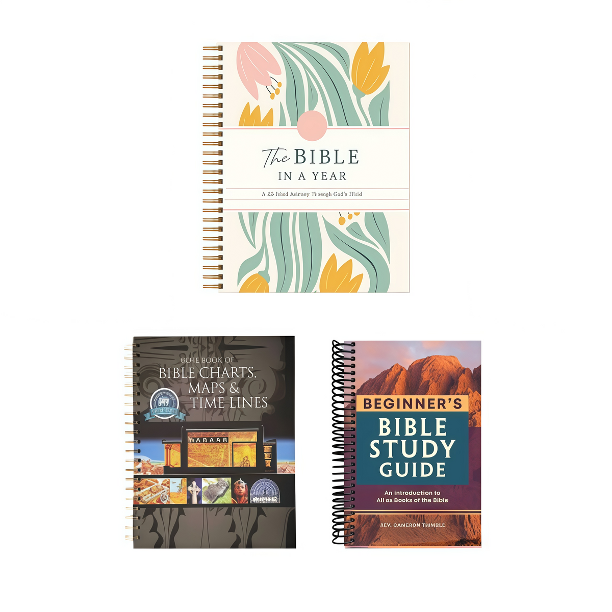 A 52-Week Journey Through God's Word,The Beginner's Bible Study Guide,ROSE BOOK OF BIBLE CHARTS