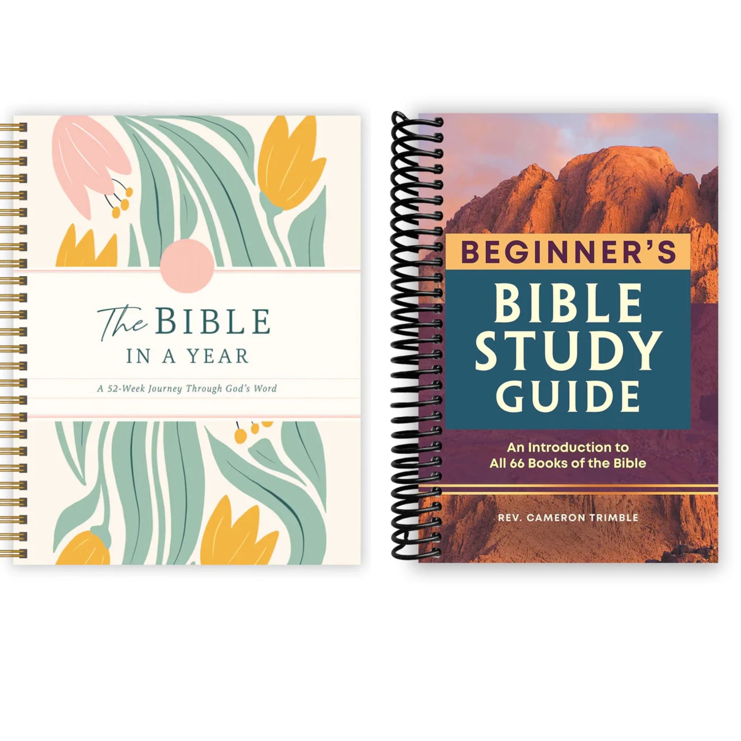 A 52-Week Journey Through God's Word,The Beginner's Bible Study Guide,ROSE BOOK OF BIBLE CHARTS