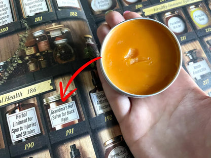 Forgotten Home Apothecary : 250 Powerful Remedies at Your Fingertips