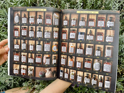 Forgotten Home Apothecary : 250 Powerful Remedies at Your Fingertips