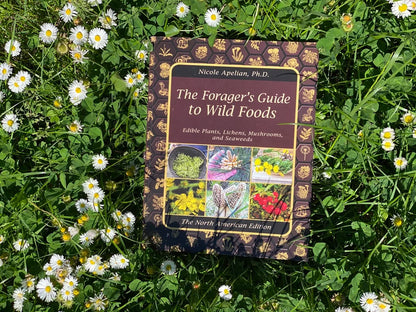 The Forager's Guide to Wild Foods | High-Quality Images & Maps for Plant Identification