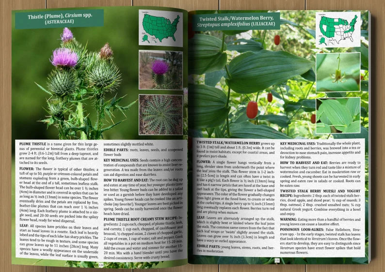 The Forager's Guide to Wild Foods | High-Quality Images & Maps for Plant Identification