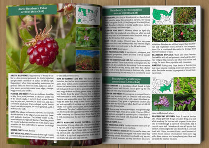 The Forager's Guide to Wild Foods | High-Quality Images & Maps for Plant Identification