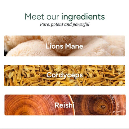 10-in-1 Alpha Shilajit Gummies – 120 Gummies